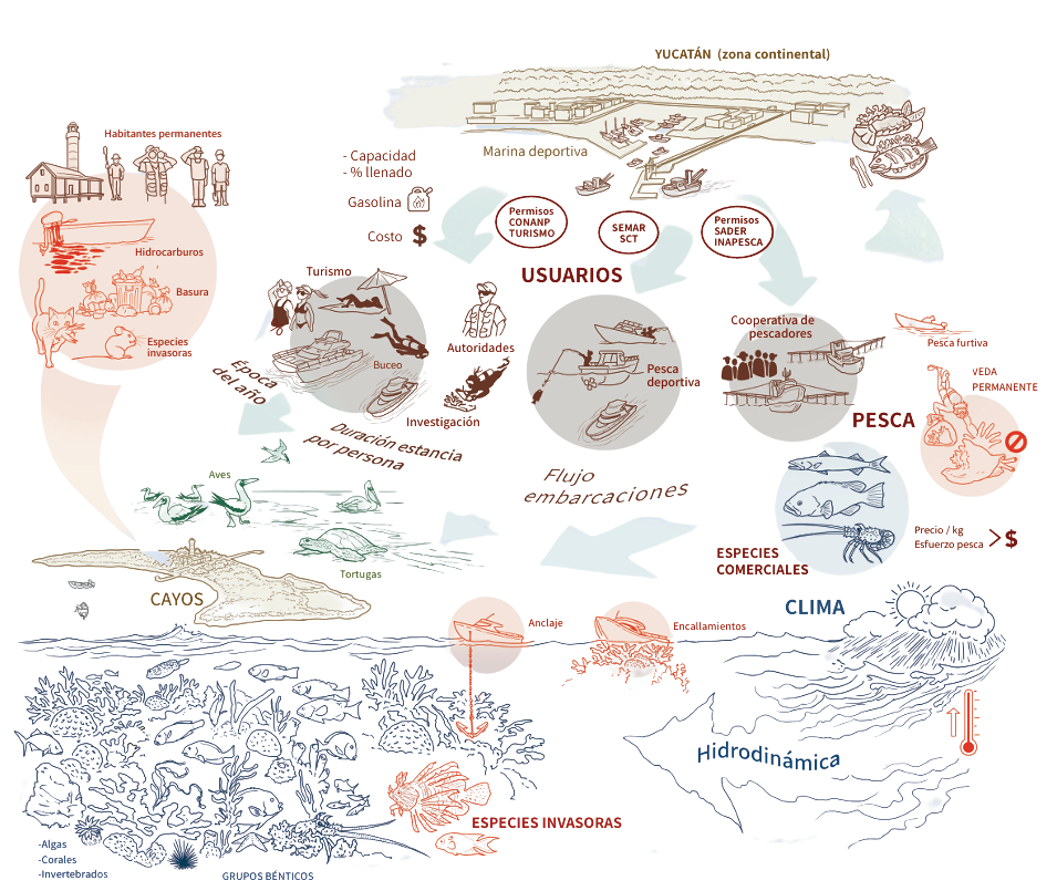 Ilustración de elementos conectados del ecosistema